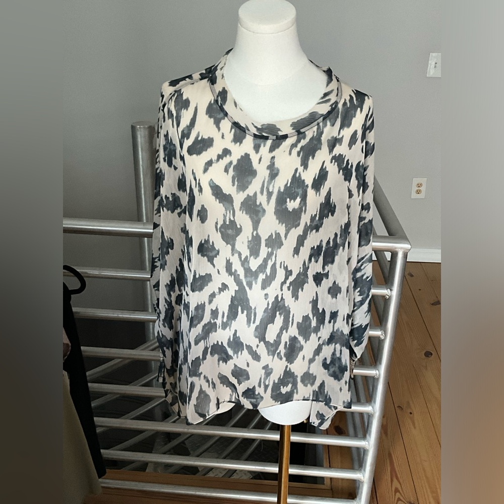 Sheer Blouse